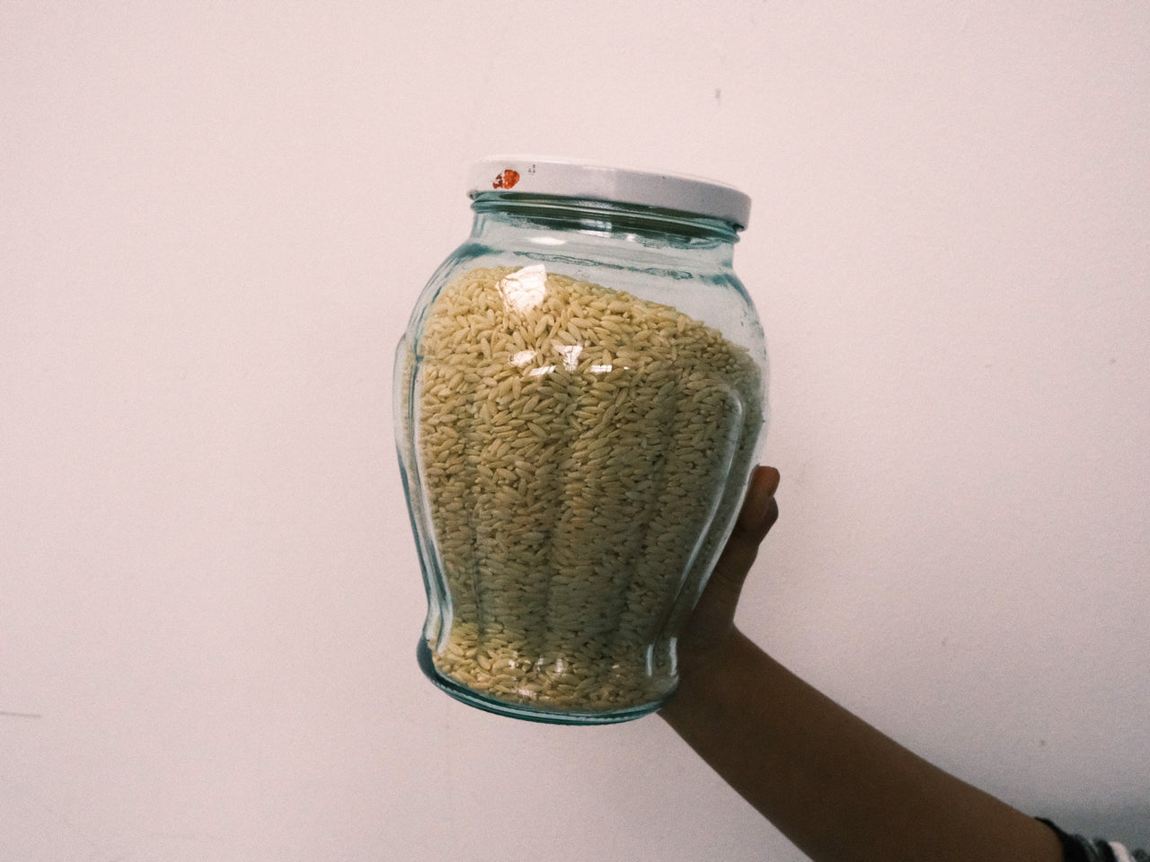 Organic Orzo