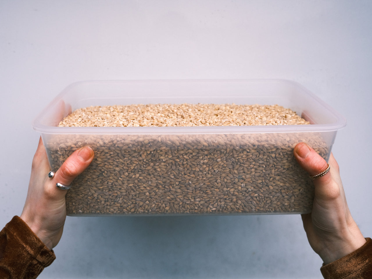 Organic Pearl Barley
