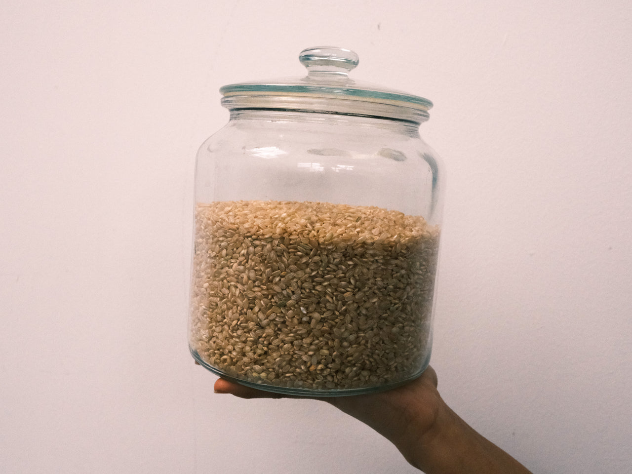Organic Short Grain Brown Rice