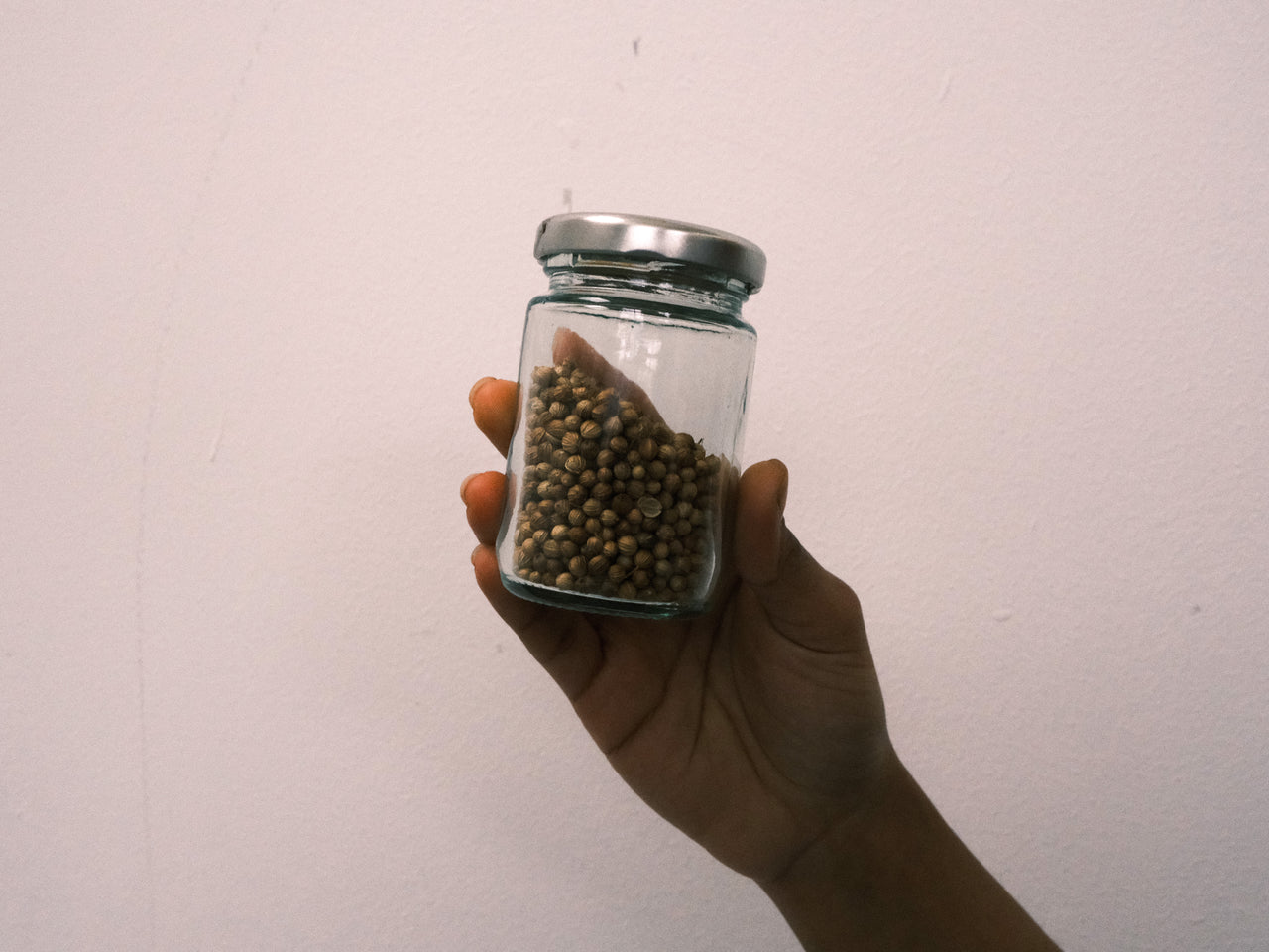 Organic Coriander Seed