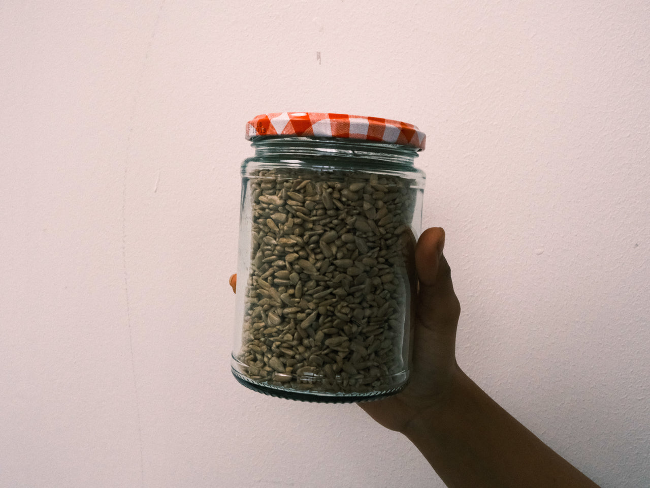 Sunflower Seeds