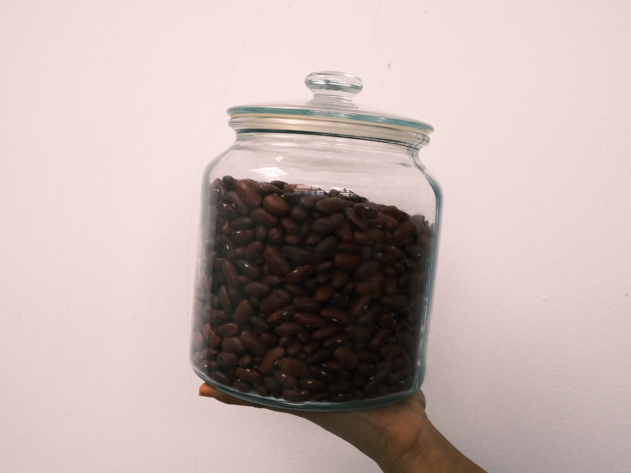 Red Kidney beans